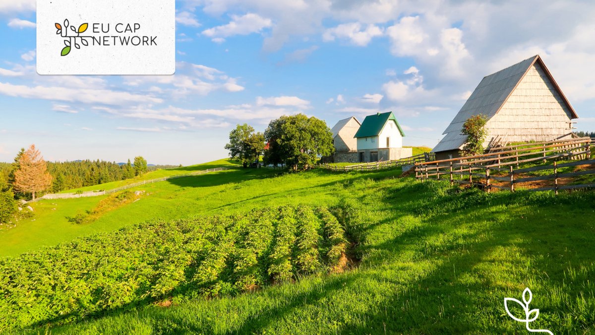 Montenegro Rural Parliament held its inaugural meeting last month 🇲🇪

Priority topics included:

🌱 Agricultural transition
💡 Generational renewal
👩‍🌾 Gender equality
🌍 Rural tourism
🤝 #LEADER

More info 👉 bit.ly/42YjjNz