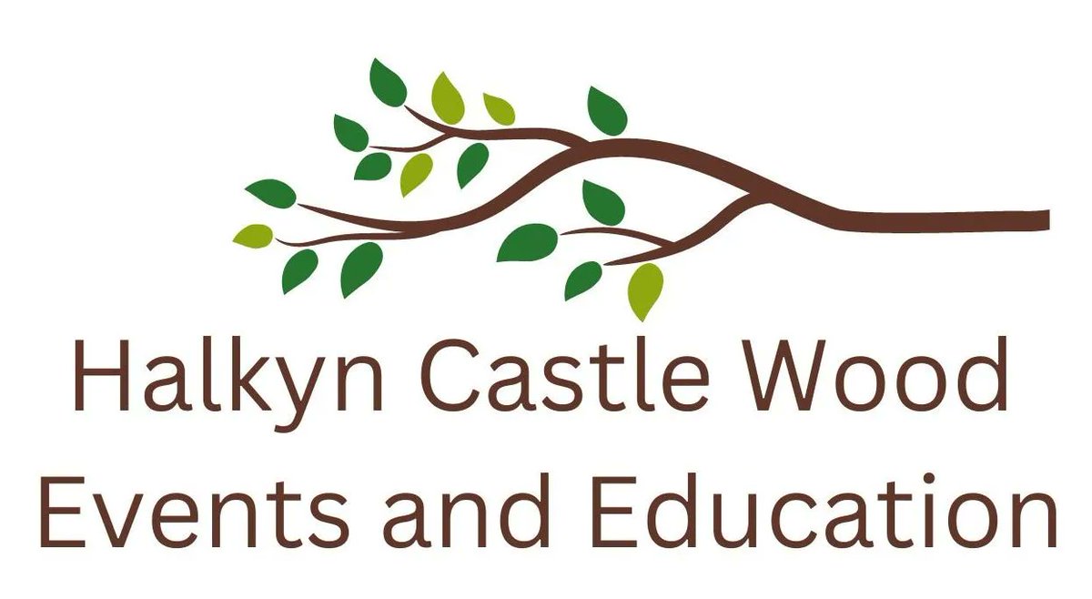 coed_net's tweet photo. Croeso Halkyn Castle Wood- @resilienceathalkyncastlewood  They have 47 acres of stunning mixed woodland &amp; meadow conveniently located off the A55 in NE Wales.
To find out more see their page on CoedNet https://t.co/8qtRSv7ZbH
Your business or group can have a FREE page on CoedNet https://t.co/fpPpYsbYSK