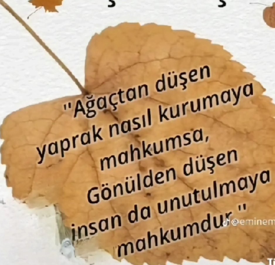 ape_ziya's tweet photo. https://t.co/N8W5X6sVOk