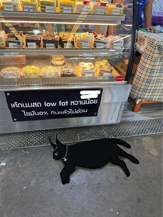 𝖂𝖎𝖑𝖑𝖔𝖜𝖌𝖗𝖆𝖈𝖊 (ไม่ต่อ) tweet media