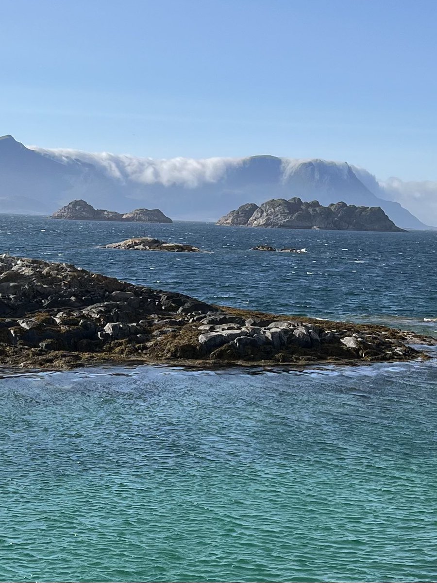 Andrea Ercegovac🇭🇷 tweet media