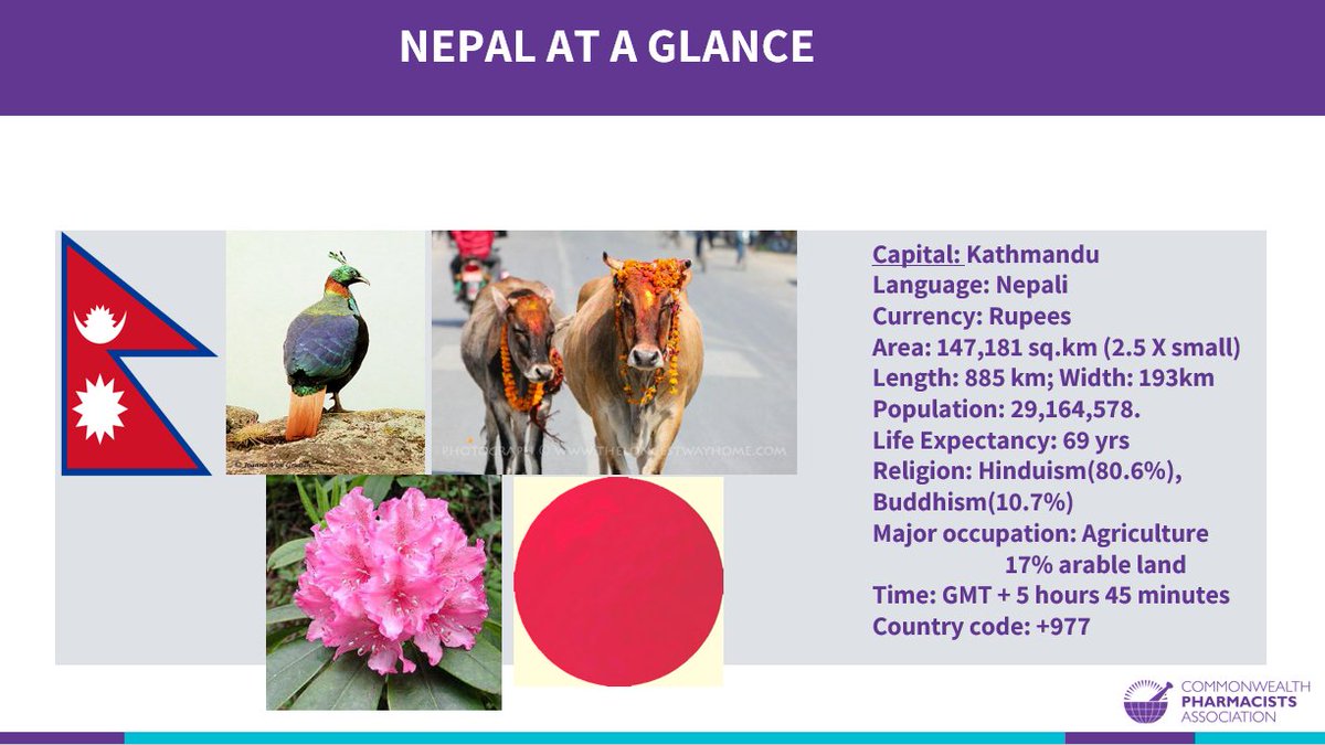 CW_Pharmacists's tweet photo. Anup Luitel, our #AMRSPARC In-Country Consultant in Nepal talks us through the impact, lessons learned, and challenges they experienced as well as discusses one of the key potential improvements as understanding Point Prevalence Surveys for #AntimicrobialStewardship
#CPApharm https://t.co/LlSwrckm90
