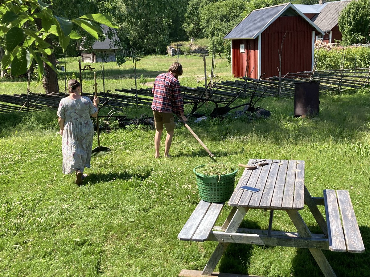 🇪🇪Last week our Estonian partner visited the island of Vormsi with participants of the Yenesis Project. Participants shared how they have been doing after the SEI Training Week, got introduced to potential green jobs in eight thematic areas and explored the island!