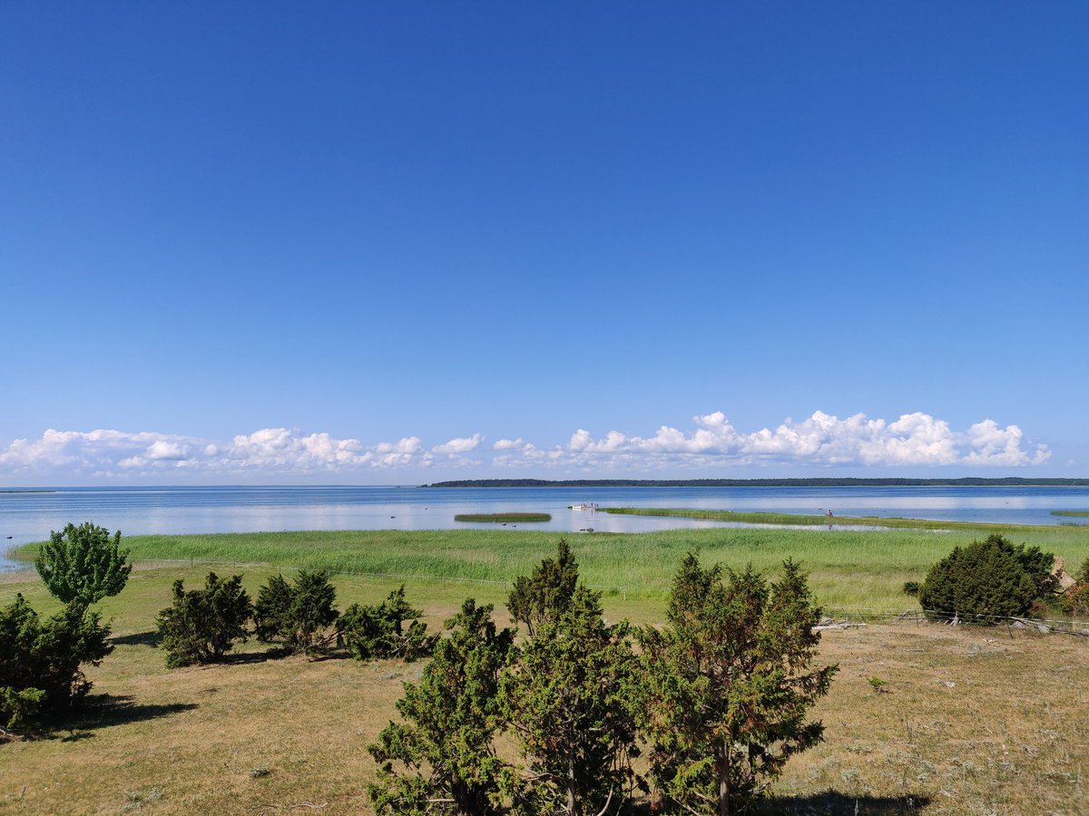 Yenesis Project tweet media