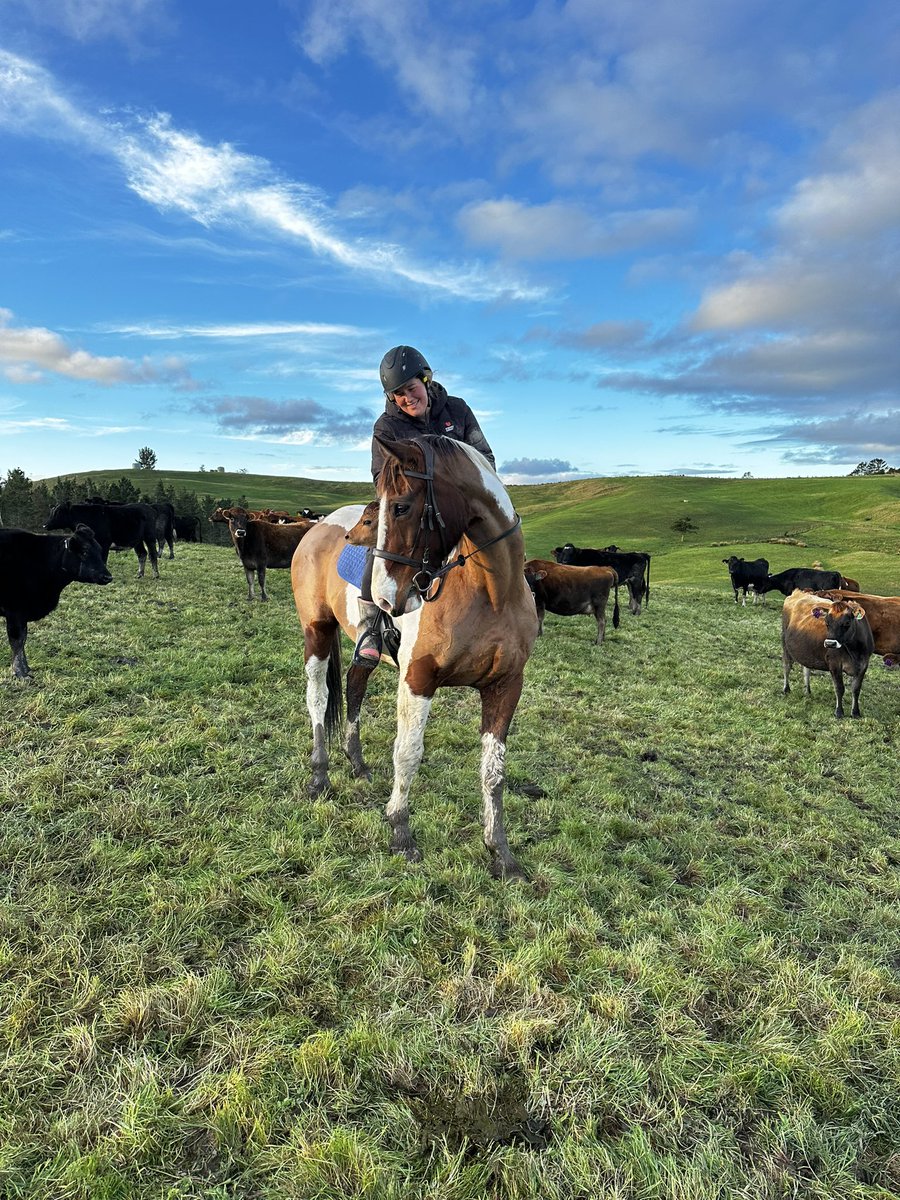 Quick zoom, very good calf trailer this one