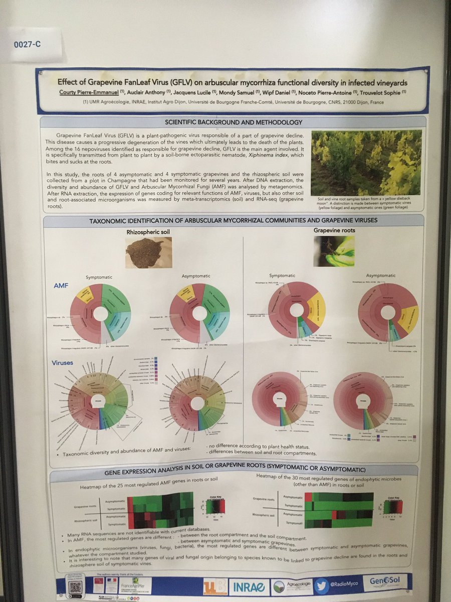 RadioMyco (@radiomyco) on Twitter photo #Holoviti project from <a href="/UMRAgroecologie/">UMRAgroecologie</a> <a href="/INRAE_GenoSol/">GenoSol</a> present <a href="/PBE2023/">PBE2023 - MARSEILLE</a>! Thanks to <a href="/PlanDepVignoble/">Plan Dépérissement</a> for supporting our project #Holoviti project from <a href="/UMRAgroecologie/">UMRAgroecologie</a> <a href="/INRAE_GenoSol/">GenoSol</a> present <a href="/PBE2023/">PBE2023 - MARSEILLE</a>! Thanks to <a href="/PlanDepVignoble/">Plan Dépérissement</a> for supporting our project