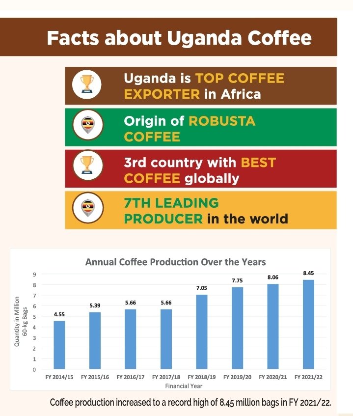 CoffeeUganda's tweet image. Uganda is the birthplace of robusta coffee &amp;amp; a producer of high quality specialty arabica coffee. 

Coffee supports the livelihoods of millions of Ugandans &amp;amp; demand for our coffee is high globally. 

What else do you know about 🇺🇬 coffee?