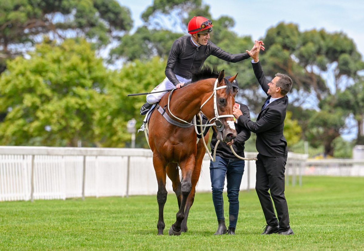 Read more on Top De Kock Racer Retires To Stud on Sporting Post, bringing you the latest in Horse Racing News, Previews and Reviews.
sportingpost.co.za/breeding/top-d…