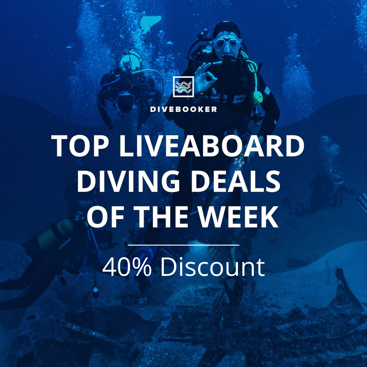 Divebooker.com tweet media