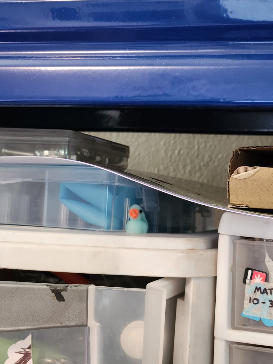NOTLF's tweet photo. Alicia has taken to hiding ducks around the house...
I will report as they are discovered and added to a jar. 🧵🦆 #theduckening https://t.co/om0t5D9QWz
