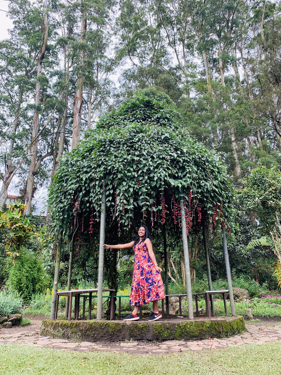 මලක්🌹😇