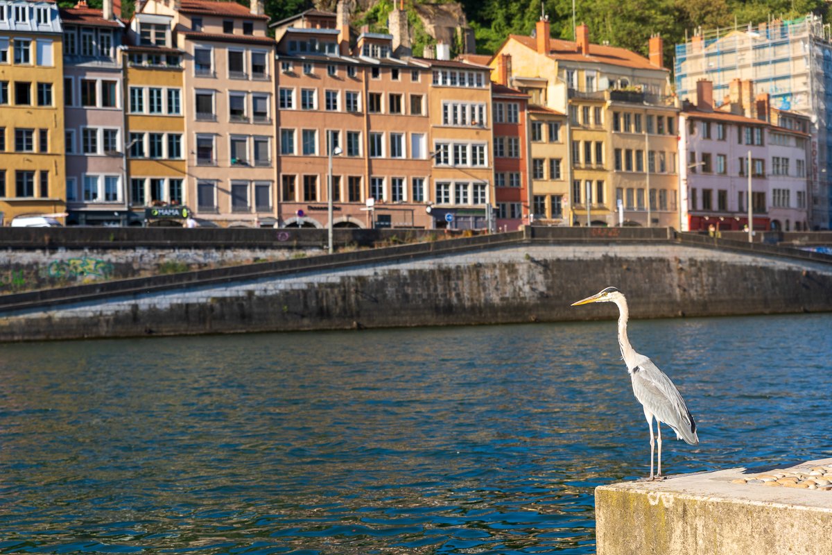 olek_impek tweet media