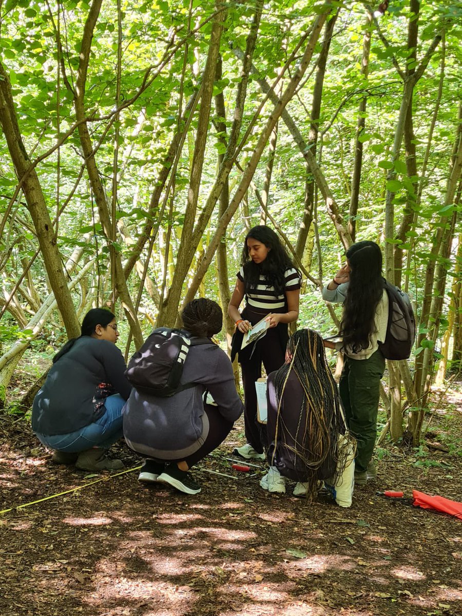 A level Biology Field Trip off to a great start as students sample the flora and abiotic factors of coppiced a mature woodland #FSCJuniper Hall #QEGSBarnet