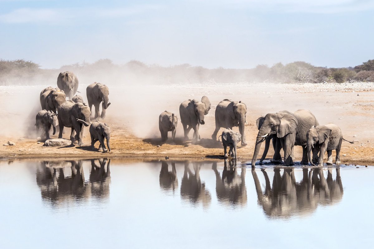 Travel News Namibia tweet media