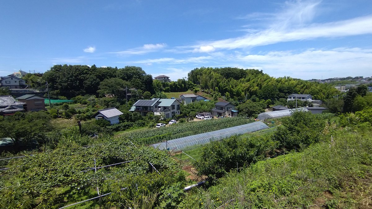 teizoh's tweet photo. #ランチコース
前菜盛り合わせ
　自家製ロースハム　キハダマグロ
豚ヒレの香草パン粉焼
デザート盛り合わせ

#川崎市宮前区 の山の中
江戸時代から続く杉田農園の脇に建つ #農園レストラン『#LaPousse』(#ラ・プース)
農園の新鮮野菜で作る #カジュアルフレンチ https://t.co/06h6jzdh65