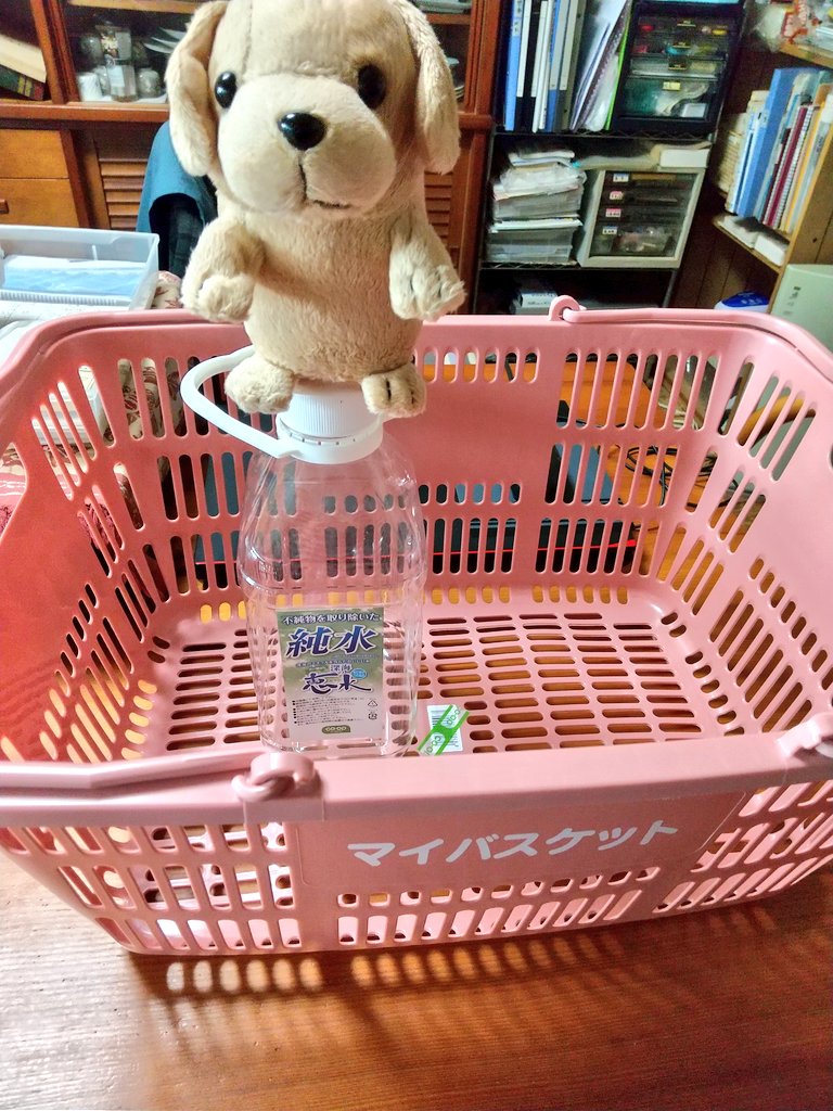 youbuntaro33's tweet photo. マイバスケットとマイボトル
ついにマイバスケットをかったワン
これからは買い物、袋詰めのわづらしさから開放、マイボトルで水も汲んでくるワン https://t.co/Oafh2kH6LN