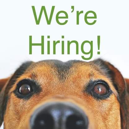 nkwoolley's tweet photo. Looking for a job in animal health?

We are recruiting for two new positions @UKinZambia:

https://t.co/iiWU1RNazC

Check them out &amp; pls spread the word! https://t.co/eoDpfJOyVy