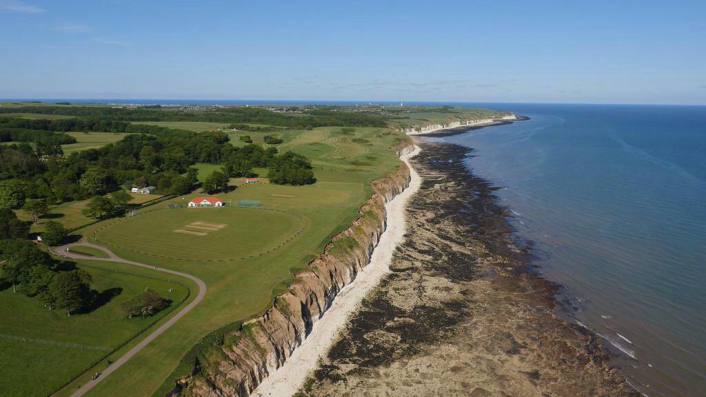 WG RumblePants tweet media