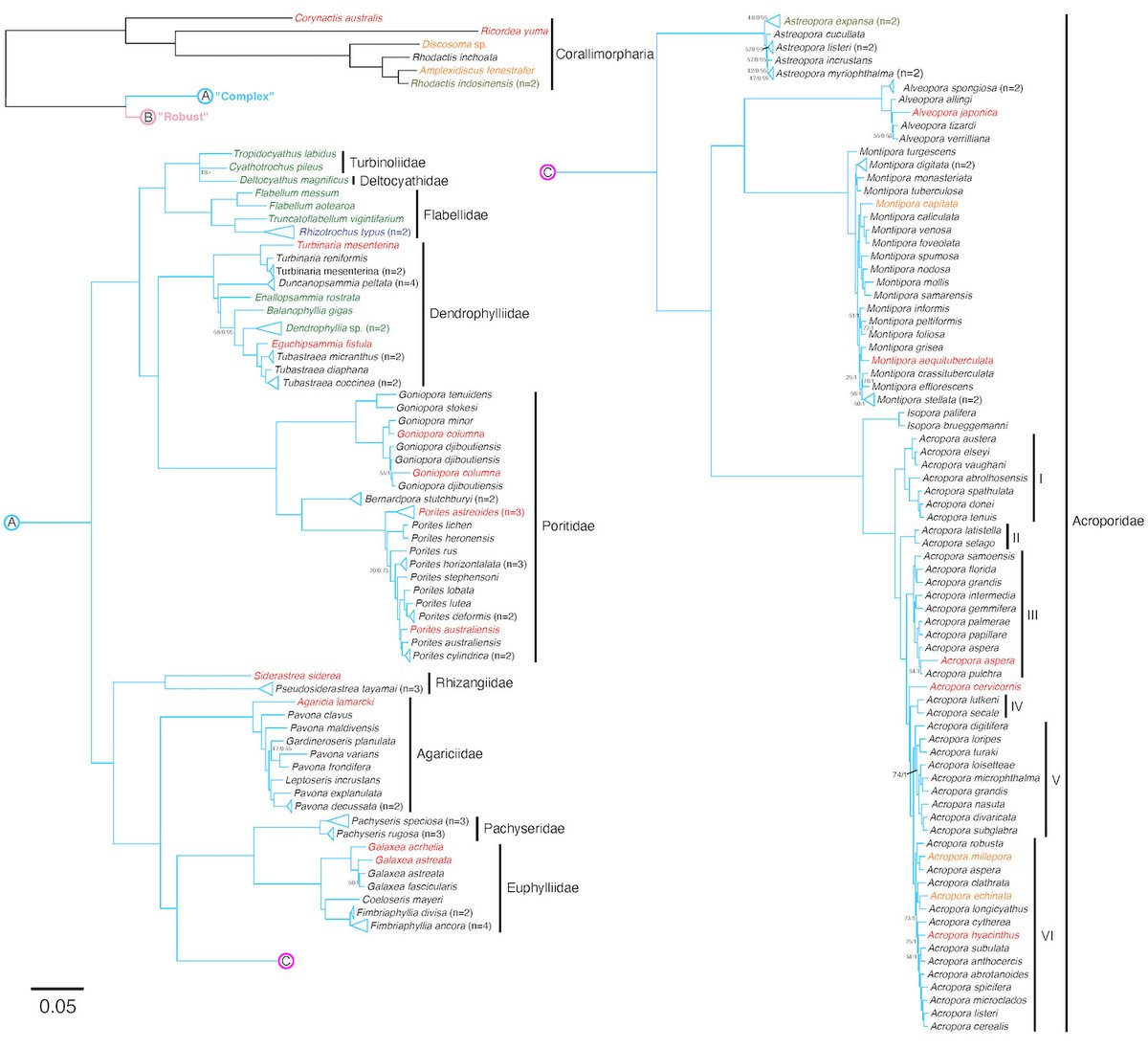Reef Ecology Lab tweet media