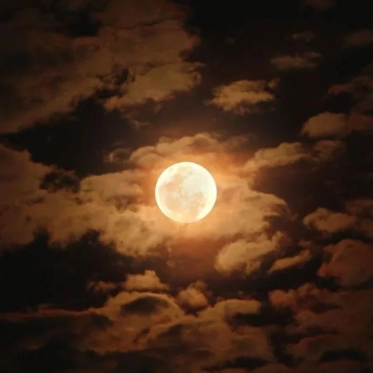 Moon4pics's tweet photo. https://t.co/tZezaQEV7O