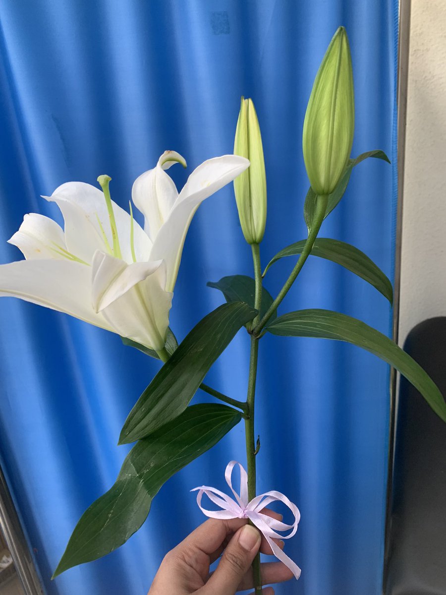 ayube3's tweet photo. Happy anniversary my love 🥰 He gave 1 stick to the staffs n made them wish me anniversary 🤭 dah la tgh buzy with fever clinic 😆 https://t.co/FhMgFmA4oB