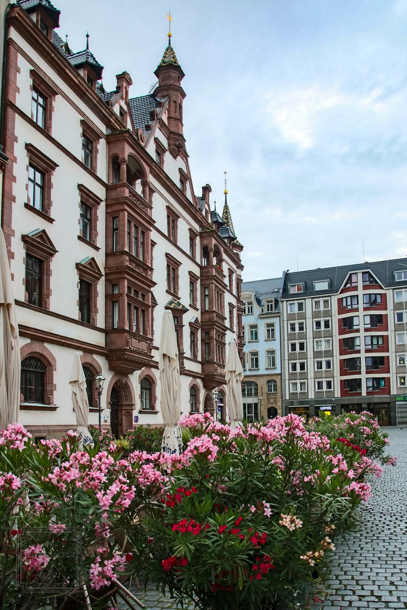 FentonPhoto's tweet photo. Flowers and great architecture on the streets of Leipzig. #leipzig #leipzigcity #leipzigtravel #thisisleipzig #germany #likezig #simplysaxony #deutschland #picoftheday #streetsofleipzig @toureurope https://t.co/gL9Y4CX5m9