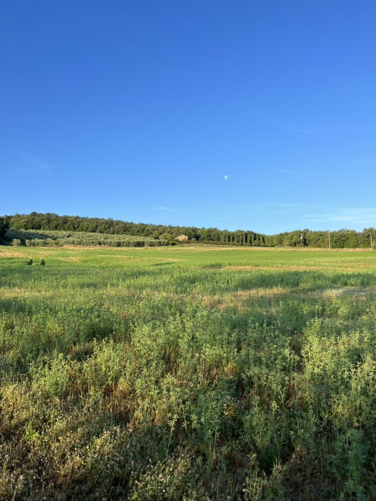 This morning’s walk 🫶🏼