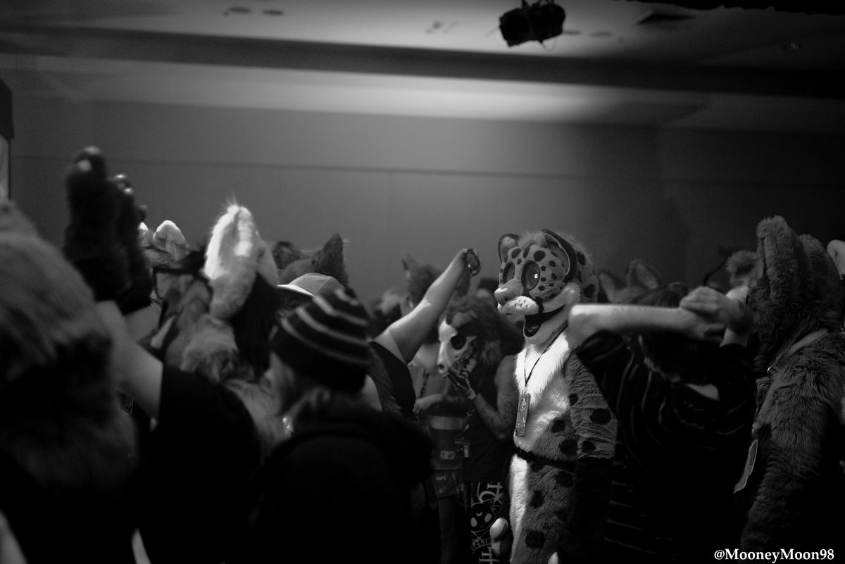 Well, i finally had some free time to finish my #aurawra photos. I had a fantastic time hugging fursuits and making new friends, and can't wait for it all to happen again next year.
All the images in are in the link below
drive.google.com/drive/folders/…