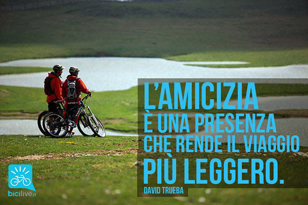 L' #amicizia è una presenza che rende il #viaggio più leggero. - #DavidTrueba