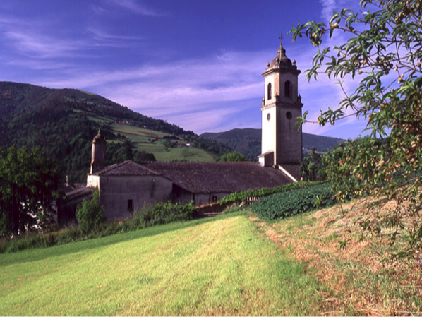 iviewpoint tweet media