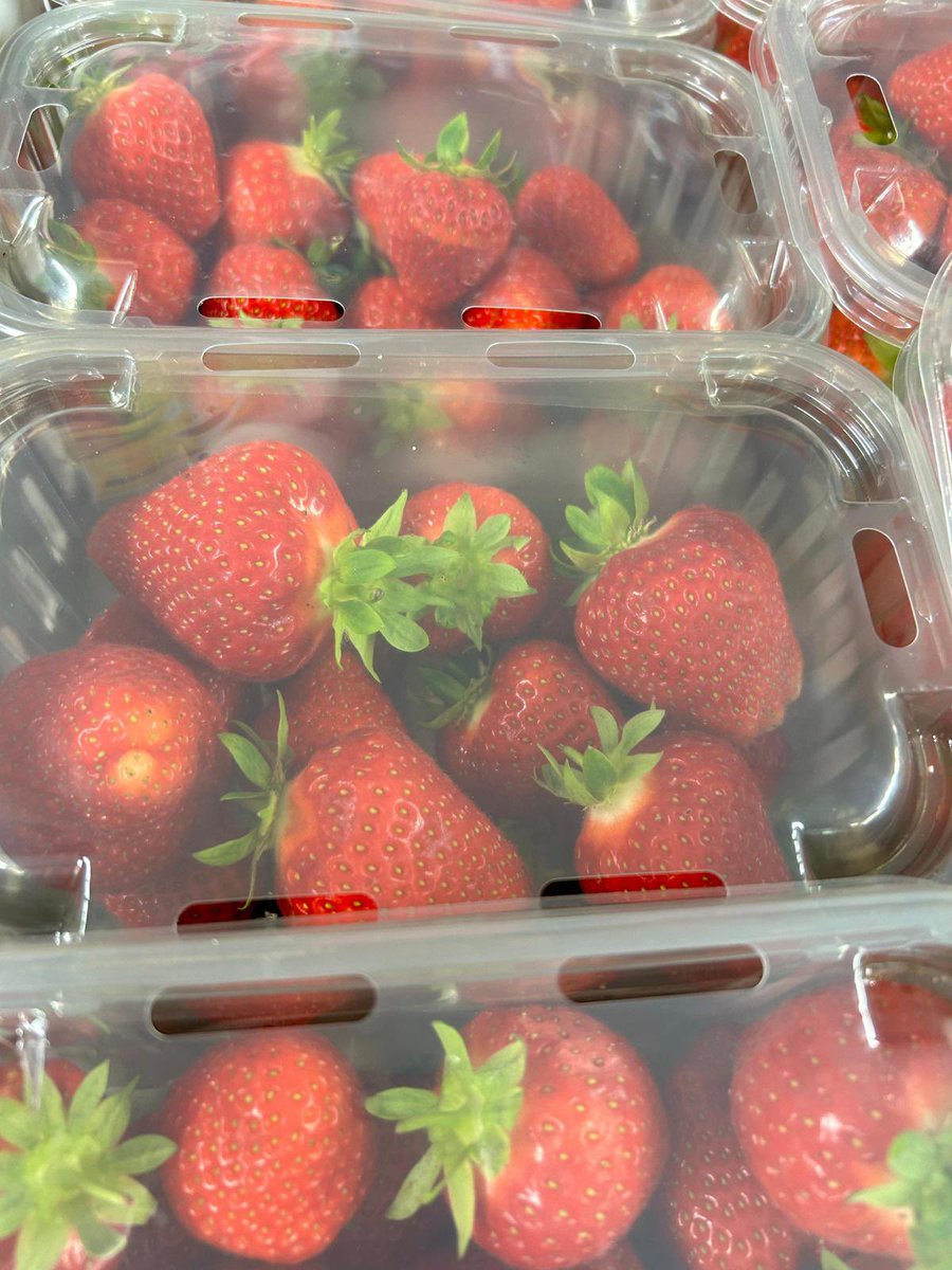 Fresh delivery of 🍓🍓🍓 in Arbroath and Brechin. Will be in Letham from 10.30am today.
#craigowlfarm #tealing #local #scottishstrawberries