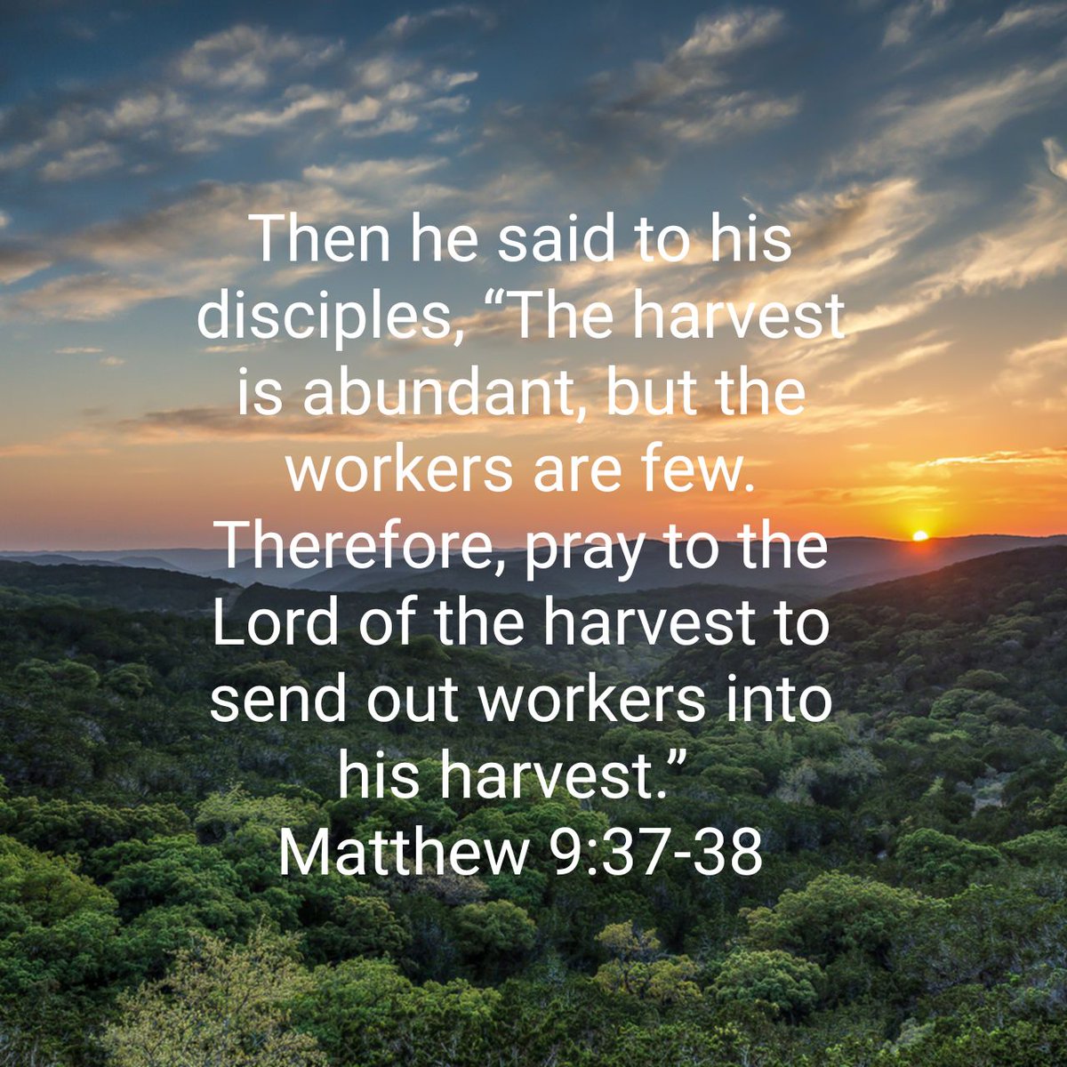 YAFbasorun_ib's tweet photo. In what capacity will you be working for God Today?
#YAF
#LFWW
#YAFBashorun https://t.co/dCJrWTsKCp