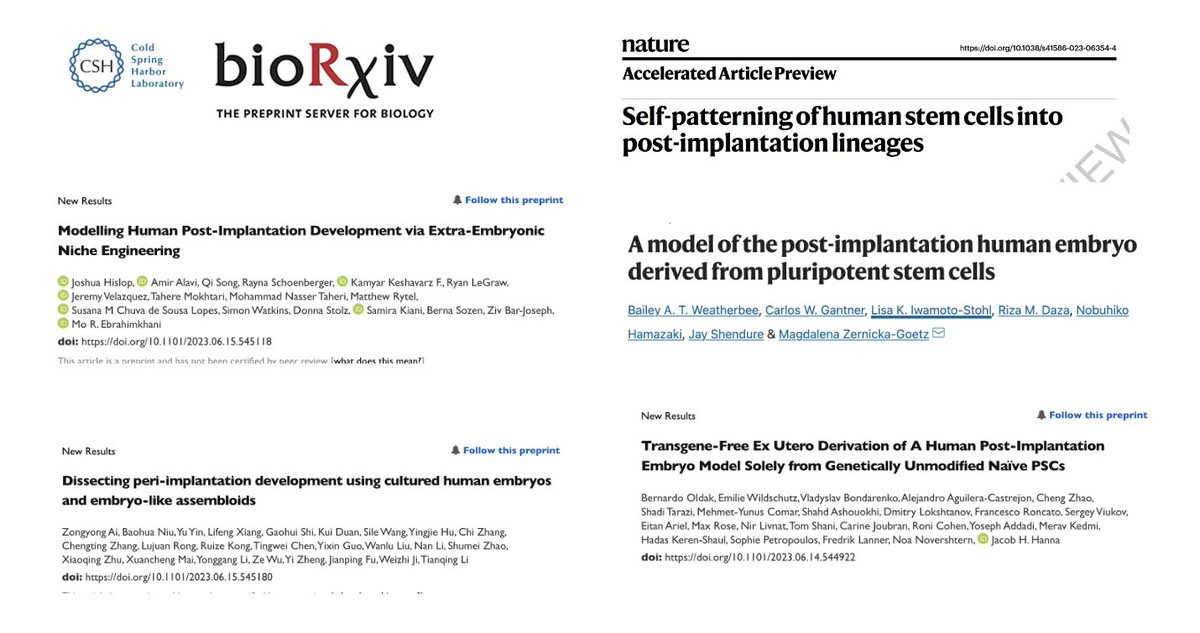AMartinezArias's tweet photo. Looking forward to discussing the recent crop of stem cell based human embryo models and their benefits for basic and applied research with students at #ASCB course @institutpasteur. https://t.co/FGqmiN9qLr