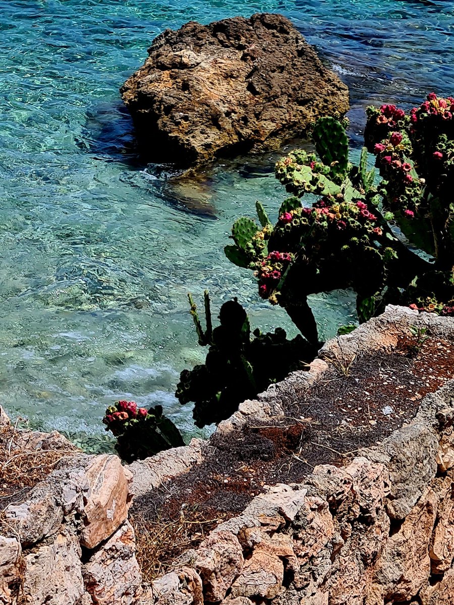 #jeudiphoto Photo insolite des rochers du Cap Martin à Roquebrune-Cap-Martin. 😉 

#RoquebruneCapMartin #CARF #CotedAzurFrance #Rivierafrancaise #Magnifiquefrance  @VilleRCM06190 @VisitCotedazur