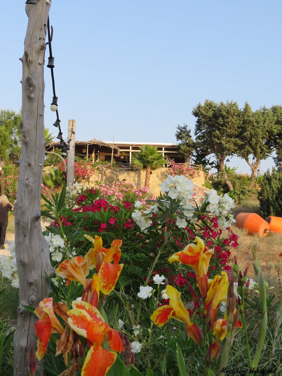 TheUncovereds's tweet photo. Beautiful paths leading to sea-view cafe/bar #Aplo
#Mastihari #Kos #Greece #GreekIslands https://t.co/yPAKSRO6DR