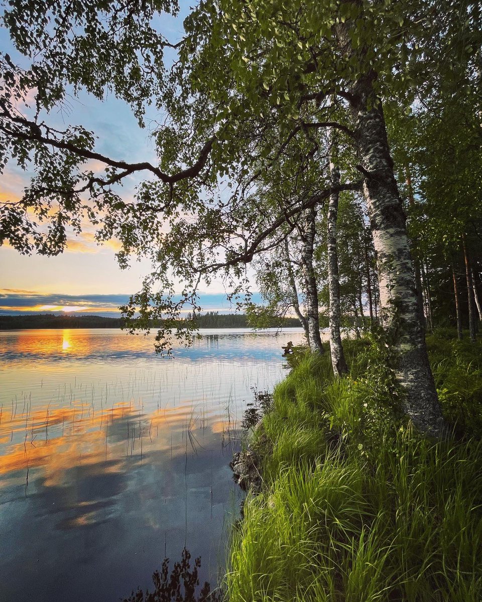 Kaikki palas: Suomen linnut,
Suomen kesä, kukkaset,
taas kuin ennen kirkkahina
kisaa järven lainehet.
Jälleen yössä valkeassa
saaret, salmet uneksii,
jälleen päällä metsänpuiden
punapilvi purjehtii.
[Eino Leino]