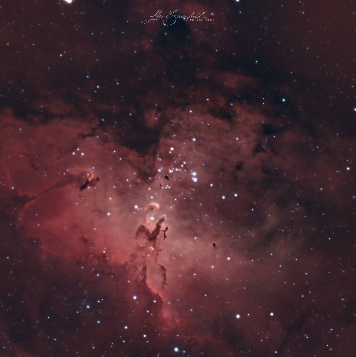 LisaBromfield's tweet photo. The M16 Eagle Nebula is a captivating stellar nursery located in the constellation Serpens.
This image was captured with my Celestron EdgeHD 8”on a EQ6R mount with an ASI533mc Pro camera.
CS!
😊
#astrophotography #space #deepskyphotography #messier16 #eaglenebula https://t.co/Dsyatmf470