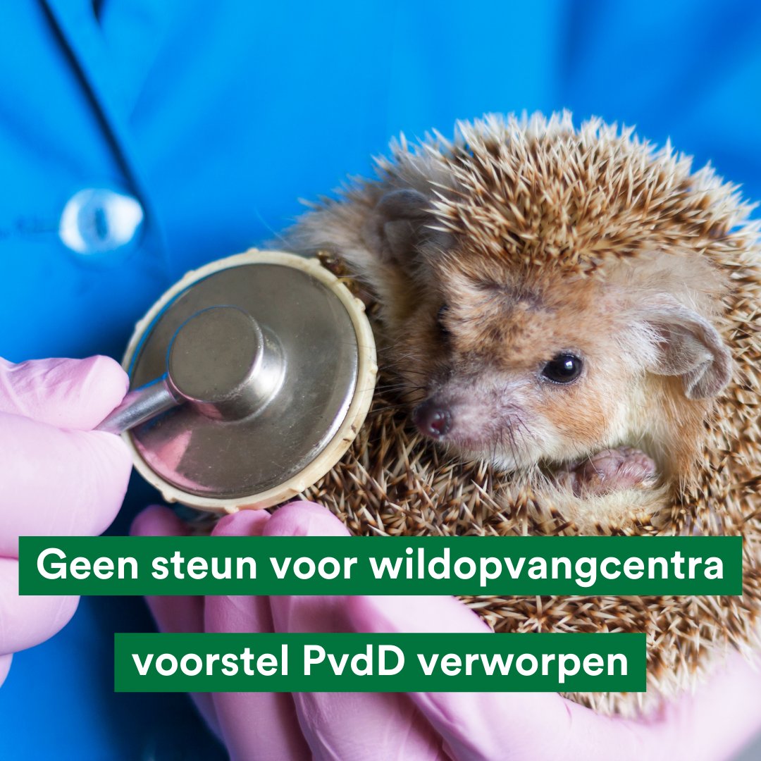 De provincie wil geen structurele financiële bijdrage leveren aan de #wildopvangcentra. Ons voorstel hierover werd helaas niet aangenomen. Wij willen dat deze opvangcentra hun belangrijke werk kunnen voortzetten!

Wij blijven ons inzetten voor álle inwoners van Gelderland! #pvdd