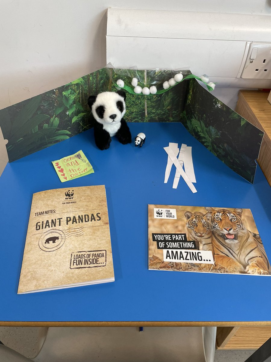 As it comes to the end of the school year, P3A decided they wanted to adopt a giant panda instead of getting an end of year present. After lots of voting and reading about each animal from the WWF website, we decided on a giant panda. <a href="/Greenbraeschool/">Greenbrae School</a>  <a href="/wwf_uk/">WWF UK</a> <a href="/WWF/">WWF</a>