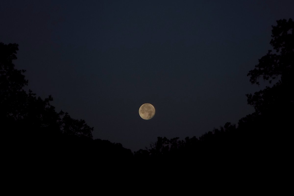 TheGoatGirl2's tweet photo. Here’s some edits of my first moon photo that came out ok. 
Which one do you like better?
 If you want to #editmyphoto feel free, the original is in the replays https://t.co/QBDzlwPbDV