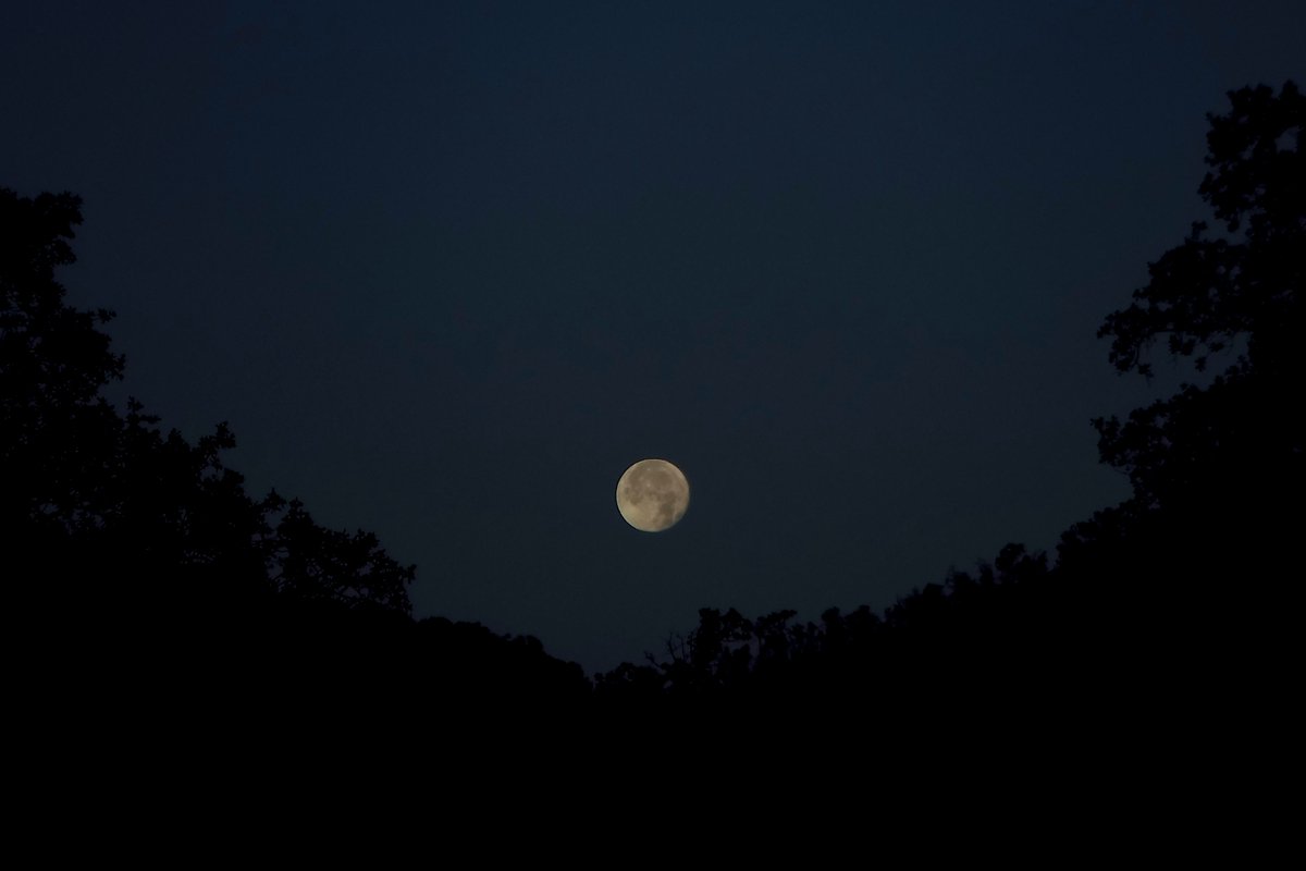 TheGoatGirl2's tweet photo. Here’s some edits of my first moon photo that came out ok. 
Which one do you like better?
 If you want to #editmyphoto feel free, the original is in the replays https://t.co/QBDzlwPbDV