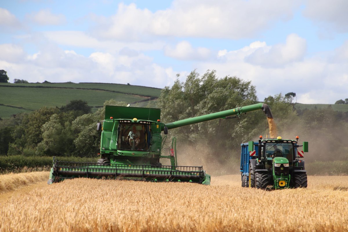 clawddcocheggs's tweet photo. Harvest 2023 is under way into some Tardis winter barley. @KWSUKLtd    @JohnDeere @Weaving_Mach @tallisamosgroup @Hutchinsons_Ag https://t.co/b74c493LEP