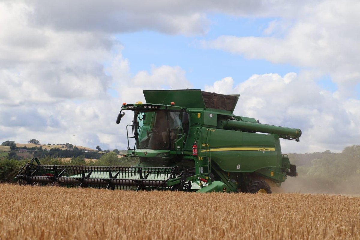clawddcocheggs's tweet photo. Harvest 2023 is under way into some Tardis winter barley. @KWSUKLtd    @JohnDeere @Weaving_Mach @tallisamosgroup @Hutchinsons_Ag https://t.co/b74c493LEP