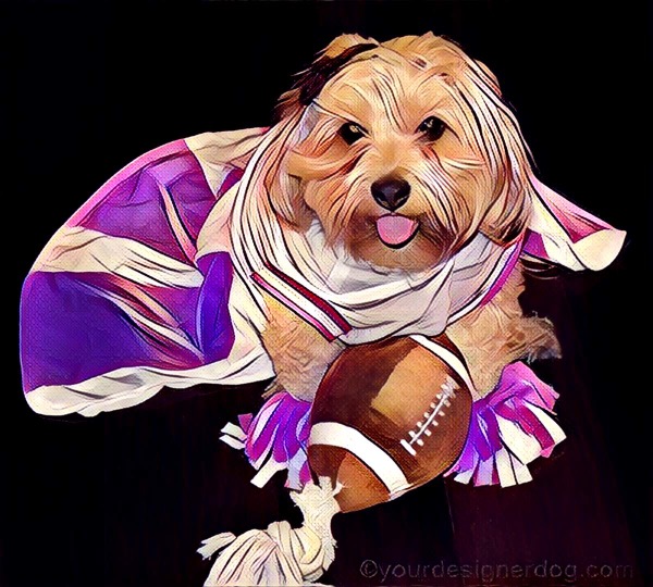 A Caturday Art #Cheerleader is.gd/g6eQt1 #blog #cute #designerdogs #digitalart #dogcostume #dogs #football #pets