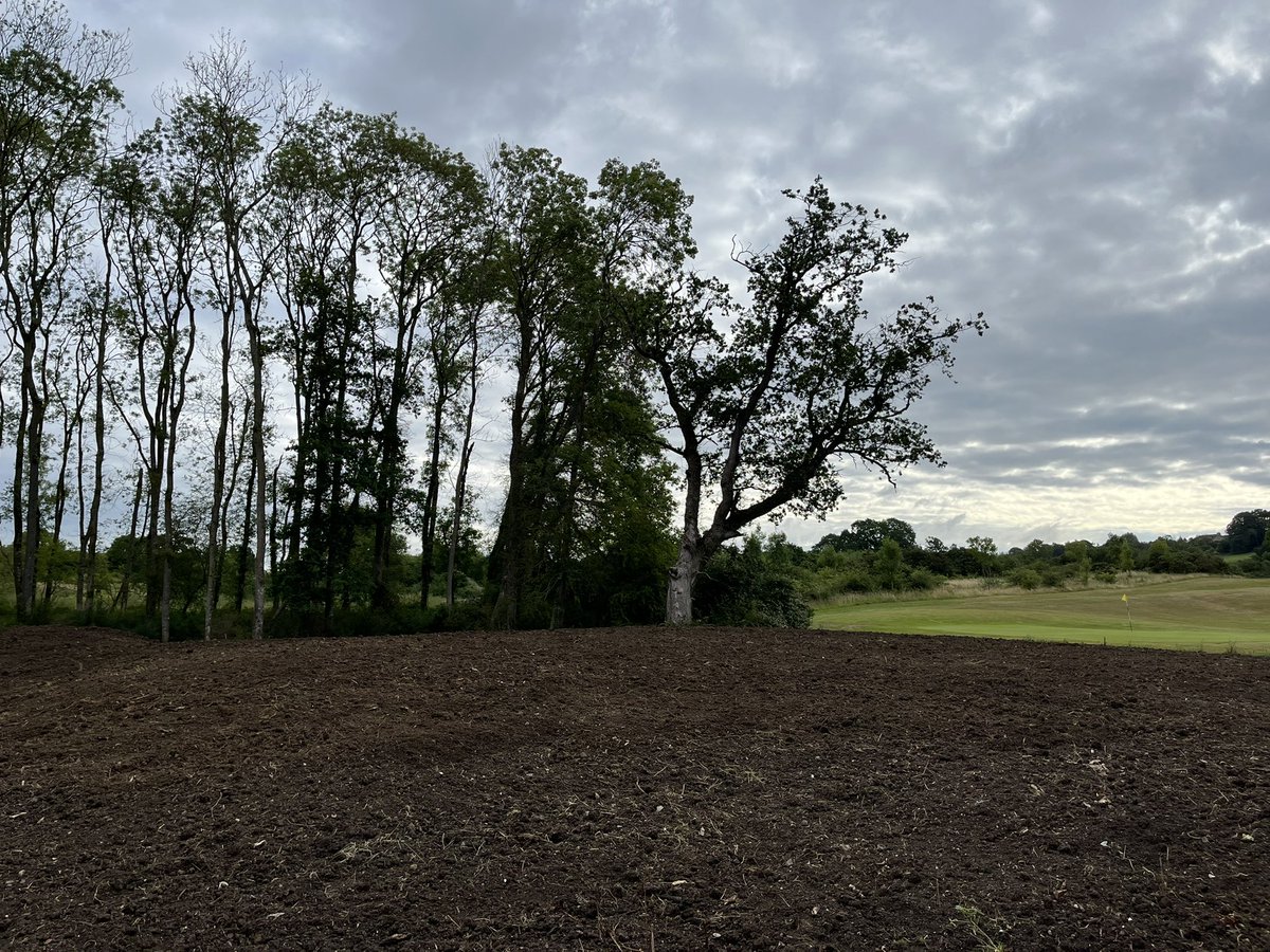 The Players Club tweet media