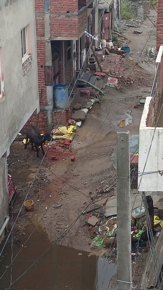 Rophager's tweet photo. @ChiefGhaziabad @gdagzb 
This is the current situation in our area.
I request you please take action as soon as possible 🙏
Location: Tigri gol chakkar Ghaziabad https://t.co/8CtVHp0AB7
