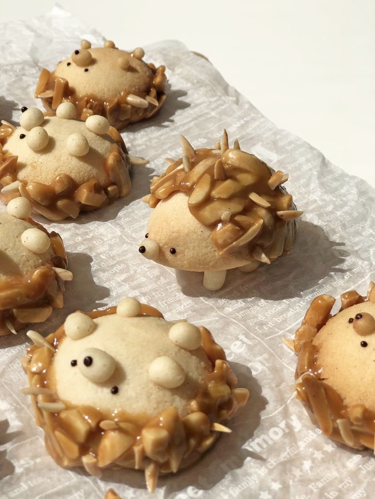 hedgehog 🦔 nougat butter cookie 🍪