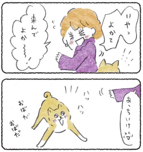 その割に可愛がってくれる😂
おばの話→https://t.co/AxOoNntLLC 