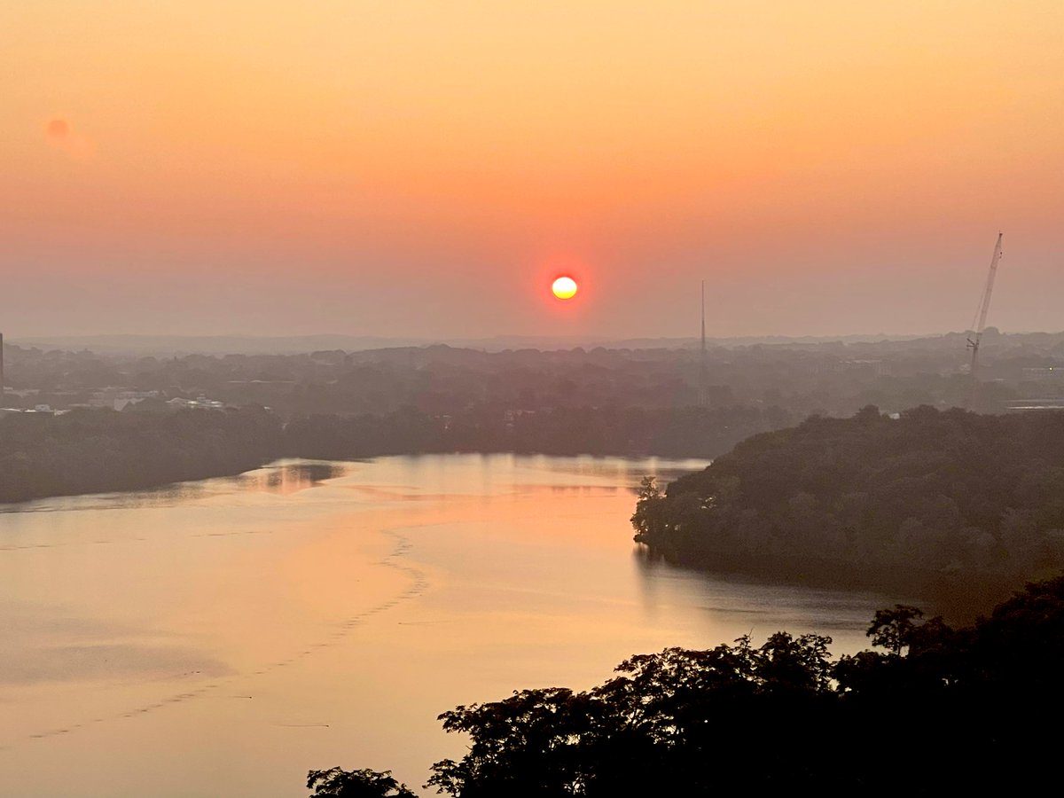 peter payack tweet media