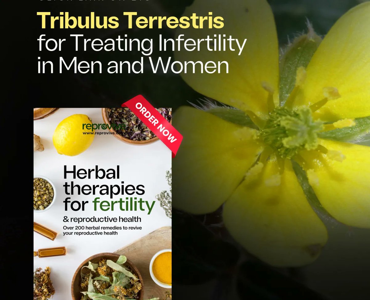 reprovive's tweet photo. Are you seeking natural solutions to enhance your fertility and reproductive health? https://t.co/uxNyh0yKqZ